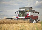 Томскстат подвел итоги производства сельхозпродукции в 2021 году